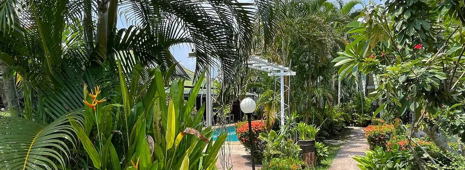 Jardin tropical du resort Souan Son Beach