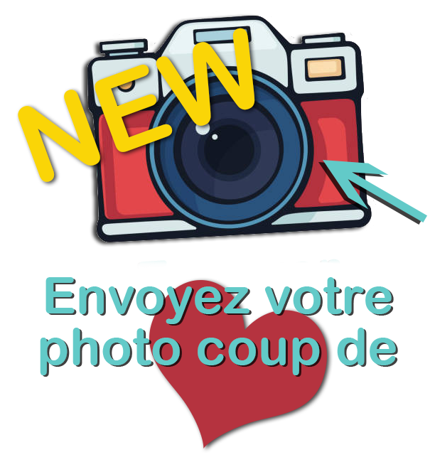 Photo coup de coeur SSB
