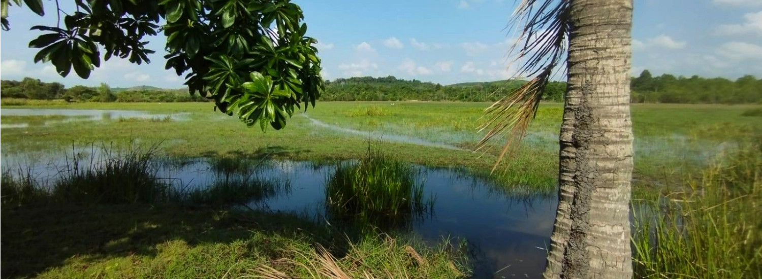 Etang et nature Ban Phe